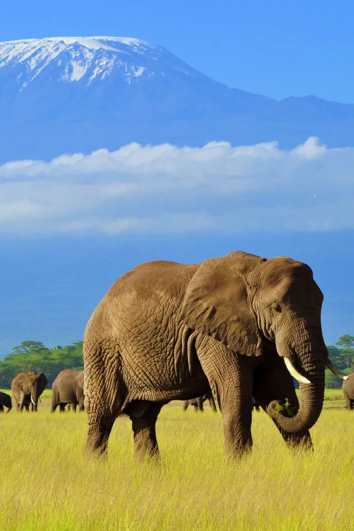 Creating Moments Travel Agency Africa 01