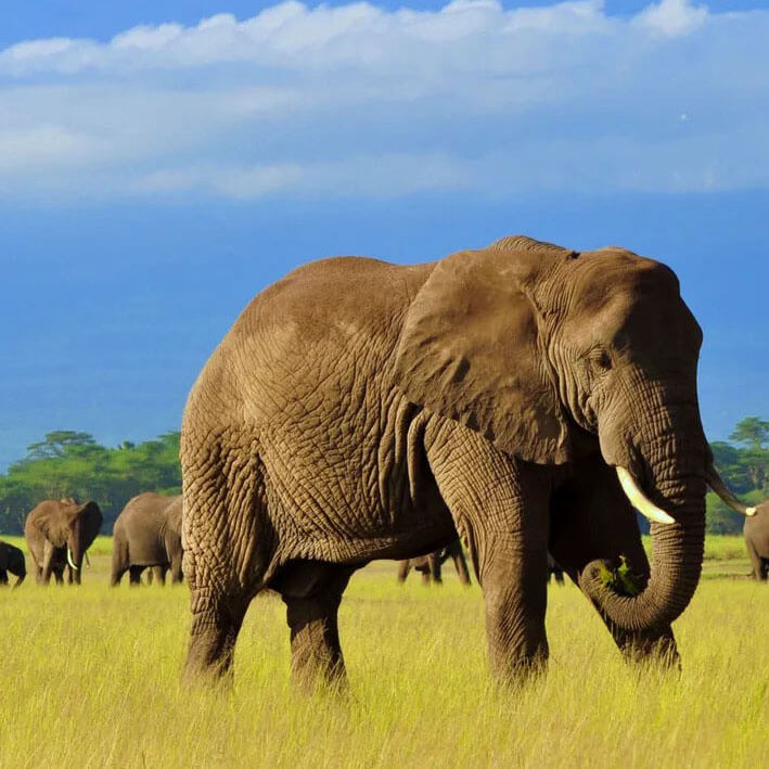 Creating Moments Travel Agency Africa Square