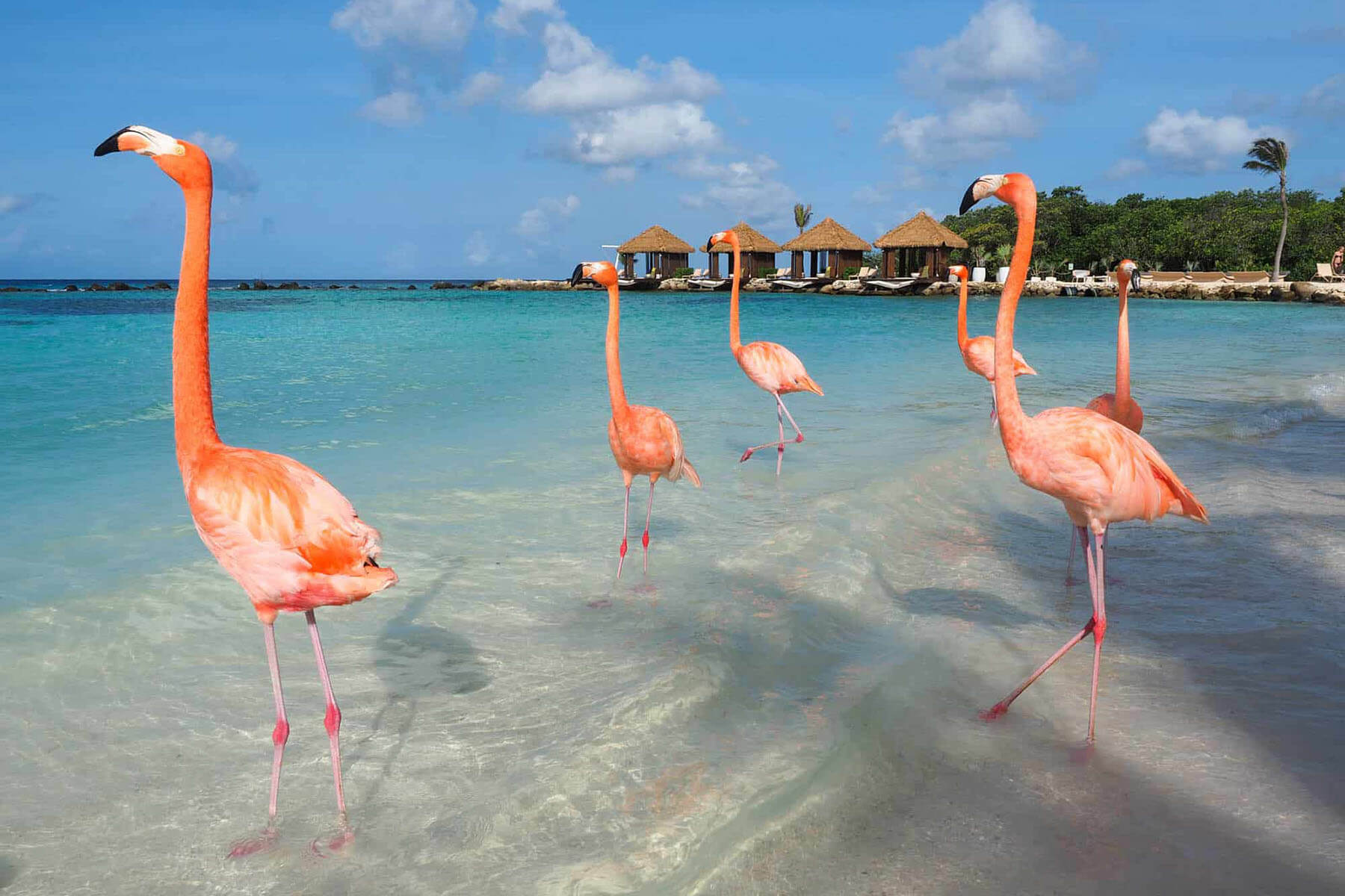 Creating-Moments-Travel-Agency-Curacao-Aruba-03 Creating Moments Travel Agency Curacao Aruba 03