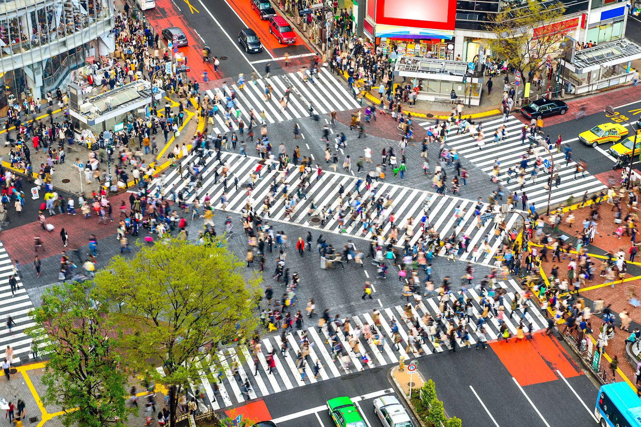 Creating Moments Travel Agency Tokyo 02